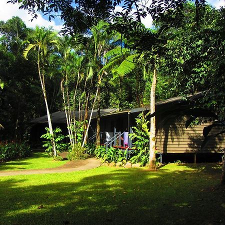 Heritage Lodge In The Daintree Cape Tribulation Eksteriør billede