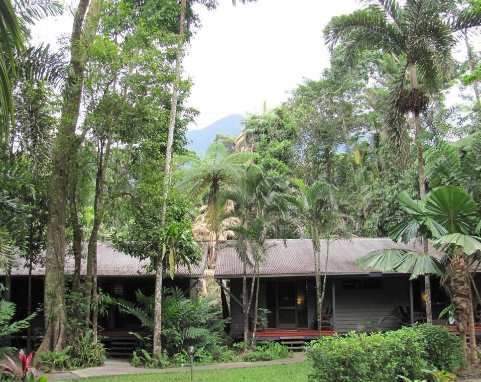 Heritage Lodge In The Daintree Cape Tribulation Eksteriør billede