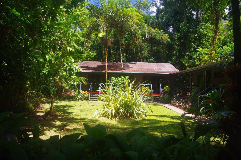 Heritage Lodge In The Daintree Cape Tribulation Eksteriør billede